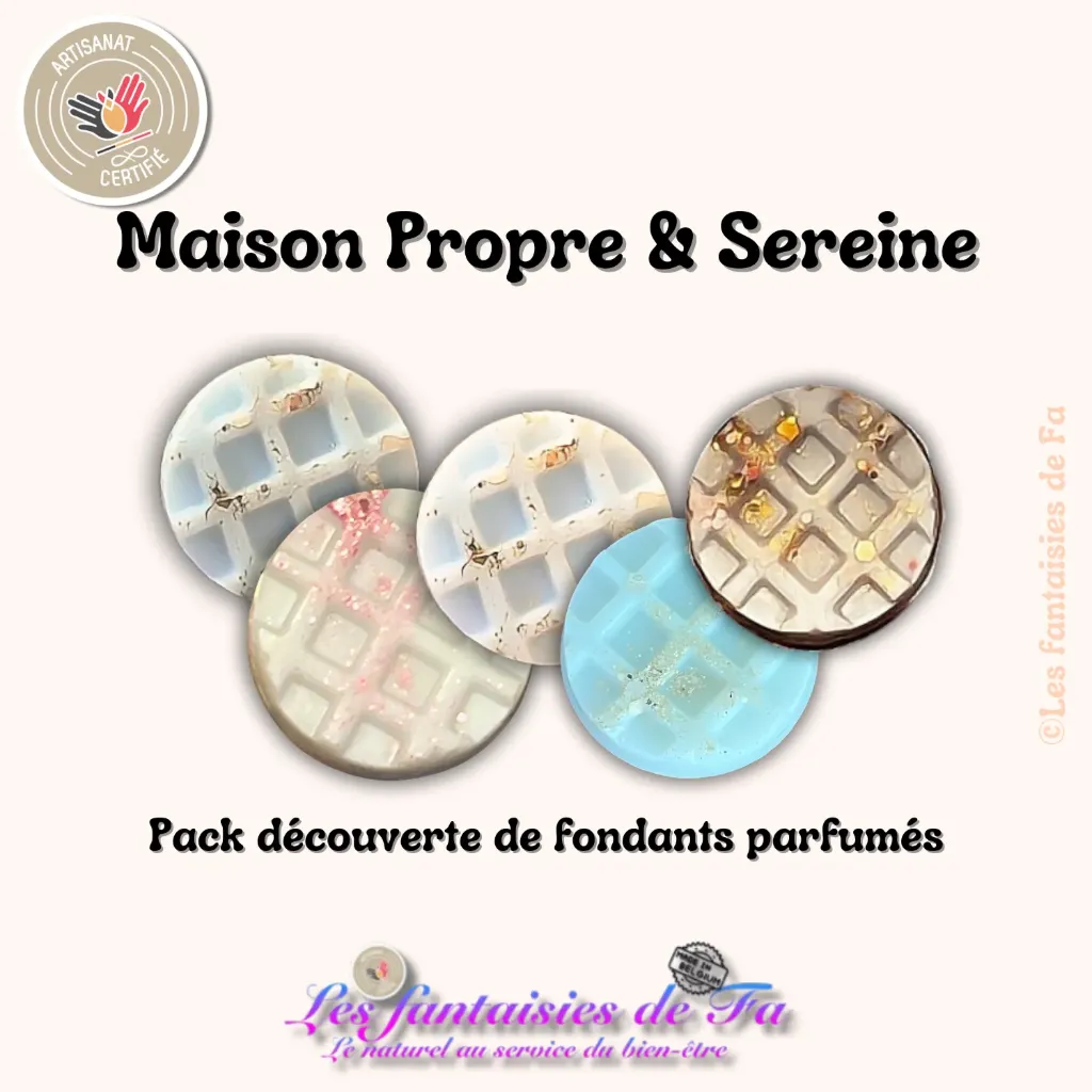 🧺 ⚡ PACK FLASH — MAISON PROPRE ⚡