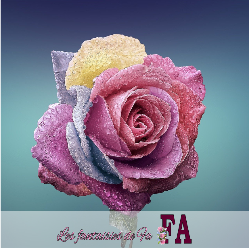 Fondant parfumé "La vie en rose"