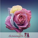 Fondant parfumé "La vie en rose"