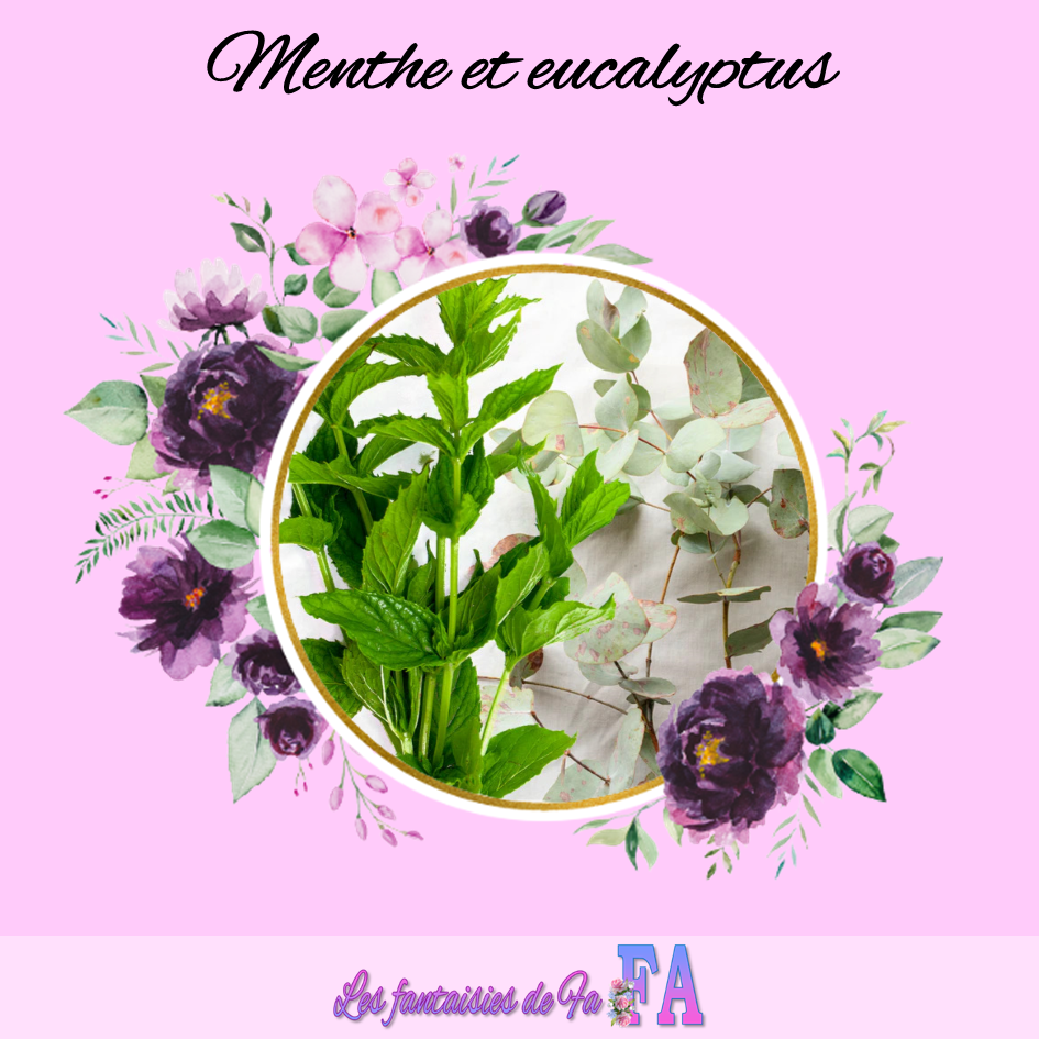 Fondant parfumé "Menthe et eucalyptus"